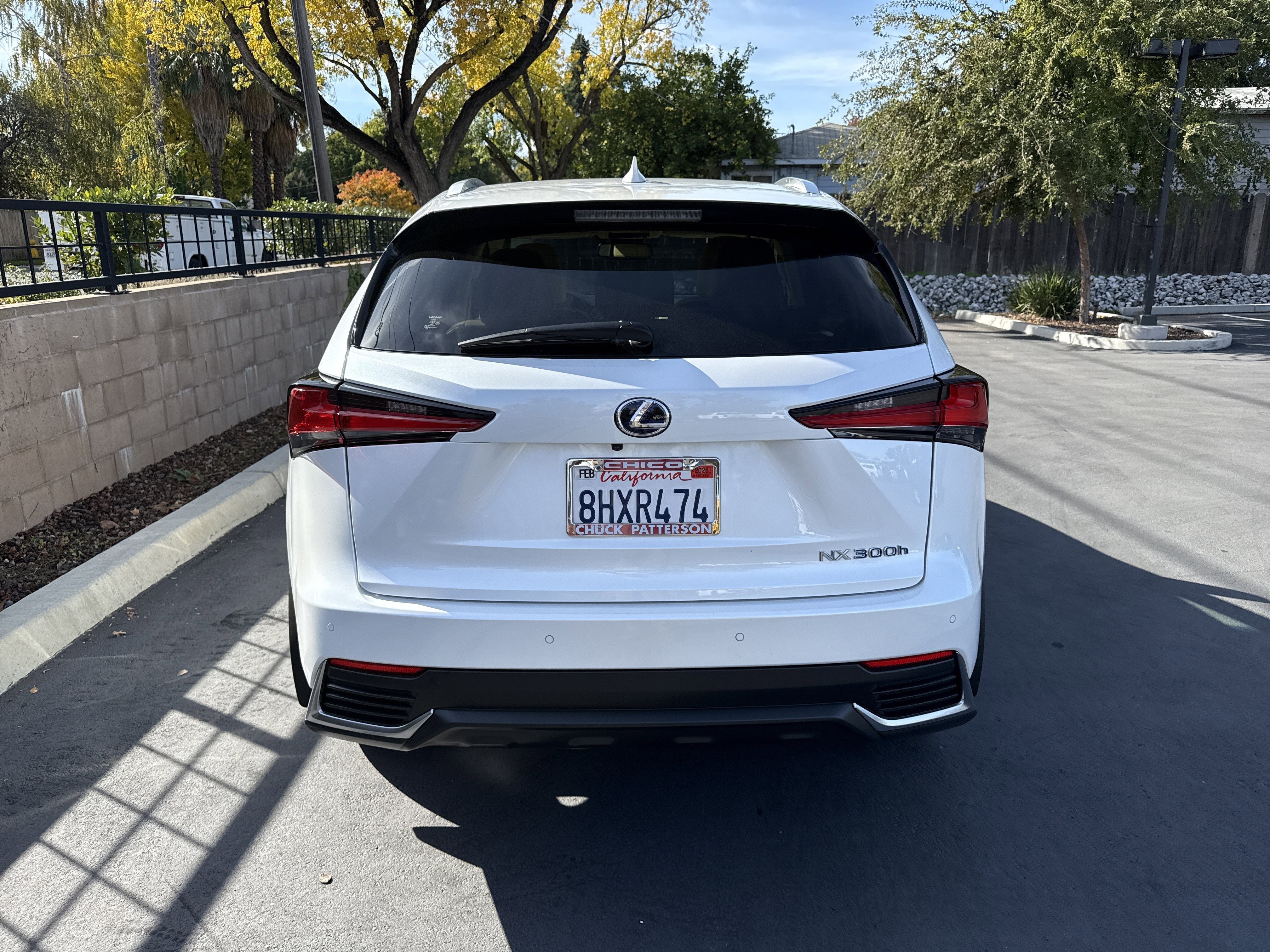 2019 Lexus NX NX 300h