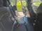 2022 MINI Hardtop 4 Door Cooper S